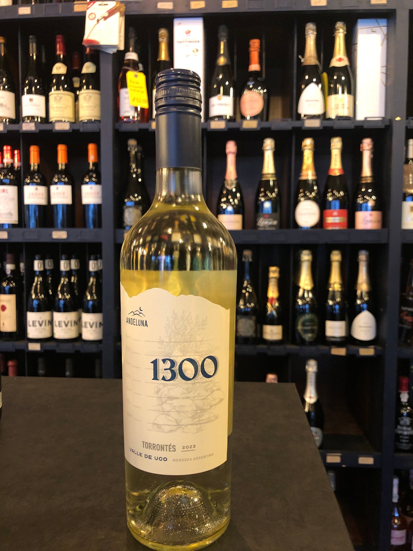 Andeluna '1300', Uco Valley, Torrontes 2023 (75cl)